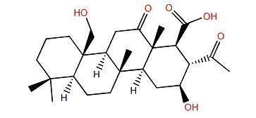 Lendenfeldarane B